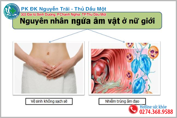 Nguyên nhân nào gây ngứa âm vật?