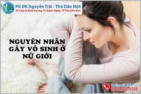 Nguyên nhân dẫn đến vô sinh ở nữ giới